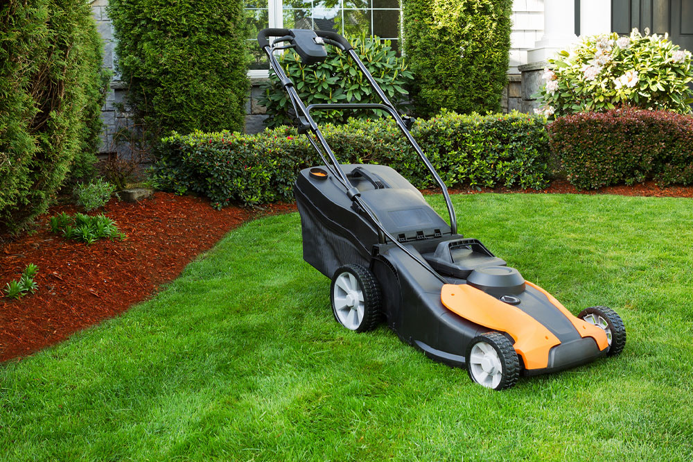 7 Tips For Maintaining a Lush Green Lawn